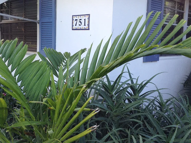 751 Hibiscus Ave #A — Photo 34