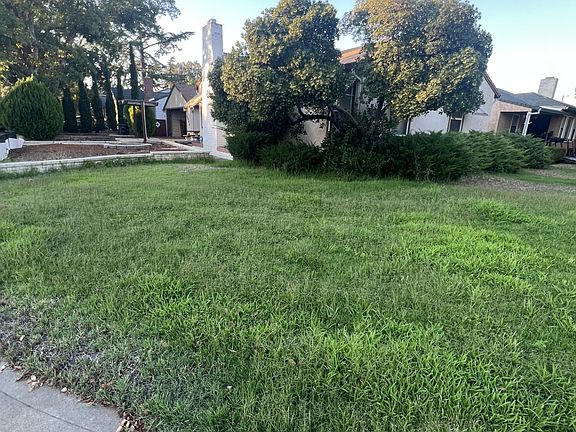 Front yard