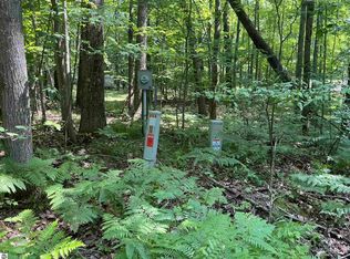 115 W Ridge Cir, Leroy, MI 49655