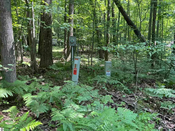 115 W Ridge Cir, Leroy, MI 49655