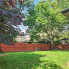Back yard