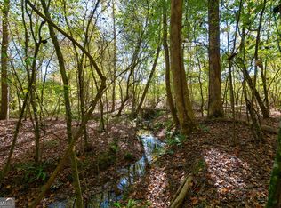 1 Bridges Rd, Carlton, GA 30627