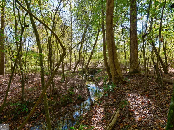 1 Bridges Rd, Carlton, GA 30627