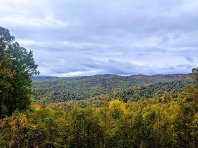 403 Chestnut Cir, Butler, TN, 37640