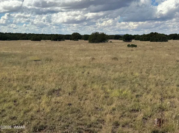 333 Maple Ln, Concho, AZ 85924