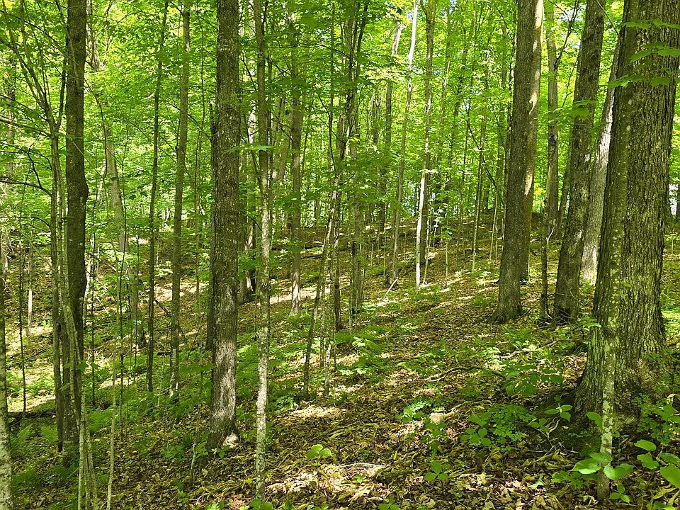 1st image of Edison Rd