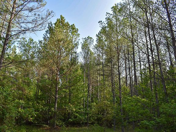 Compass South Land Sales Alabama Buttahatchee Tract 03