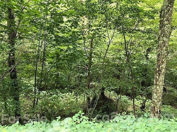 3rd image of 153 Linville Oaks Dr Lot 8