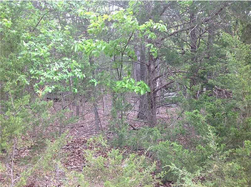 2nd image of Appaloosa Ln