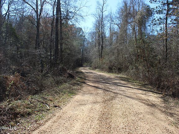 4th image of 2194 Brandi Rd