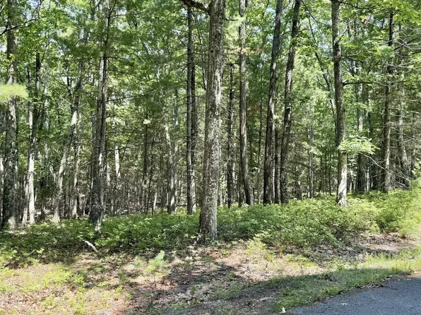 LOT 45 Soose Way, Tafton, PA 18464