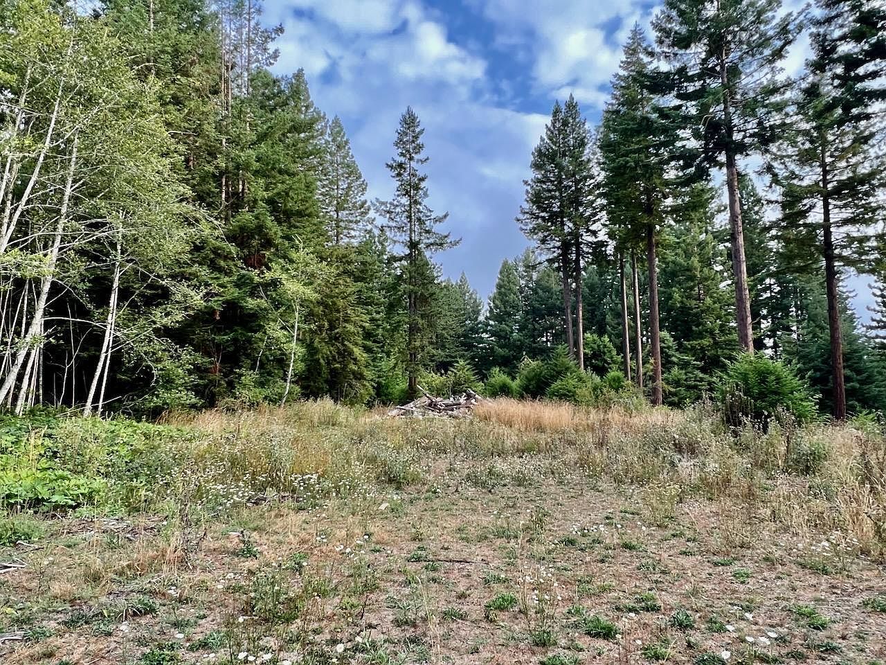 3775 Greenwood Heights Dr, Kneeland, CA 95549 MLS 265023 Zillow