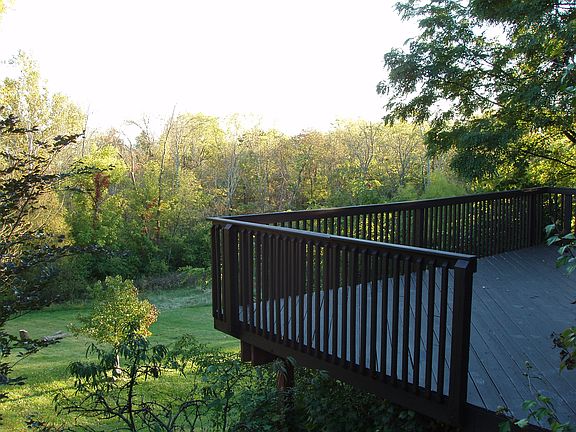 Forest view from lower deck.
