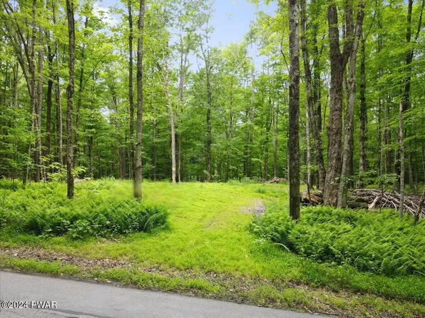 Elk Lake Dr, Waymart, PA 18472