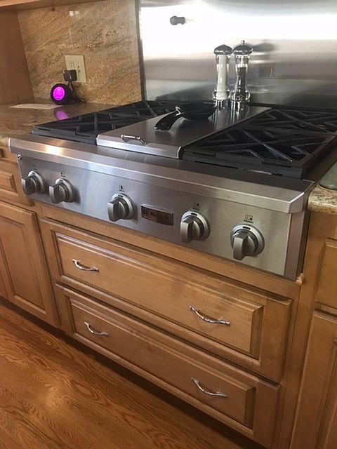 Professional gas stove