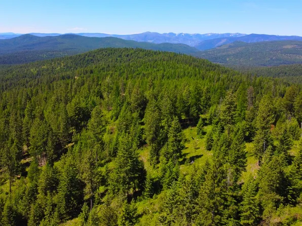 Nhn Corona Road Rnch, Plains, MT 59859