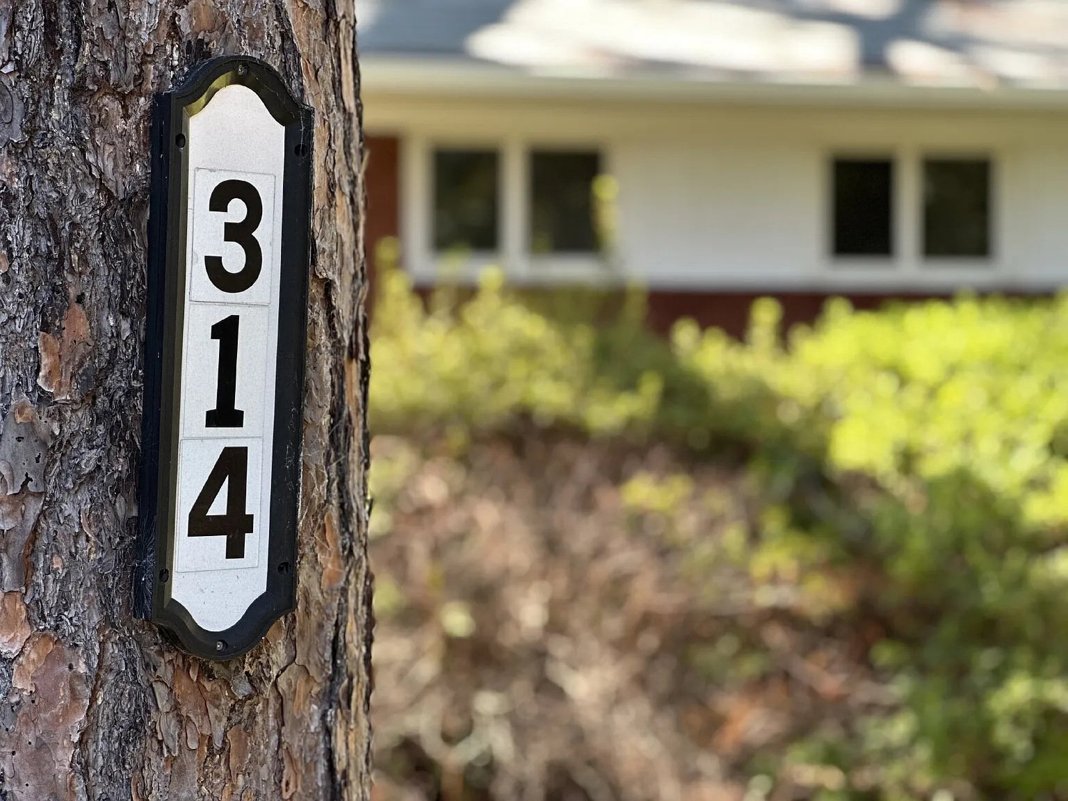 3 bed, 2.0 bath, 1986 sqft, $1,800 — Photo 2
