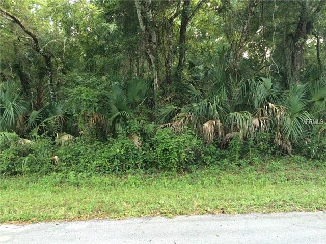 2nd image of 8632 N Barberry Way