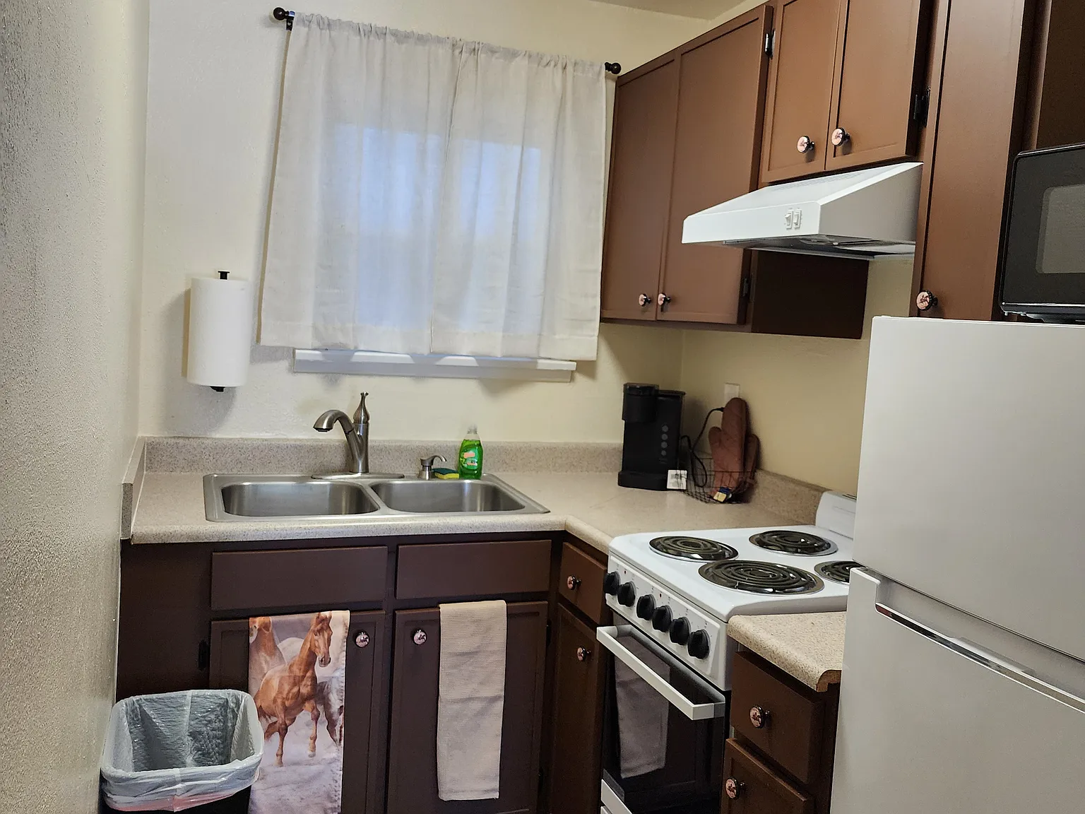 1 bed, $1,600 — Photo 4