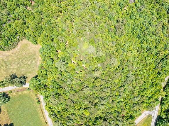 5th image of 4.0 acre Donley Road