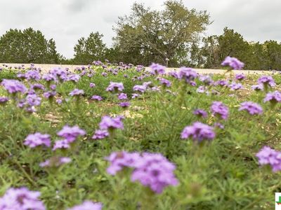 0 Paradise Aly, Canyon Lake, TX, 78133