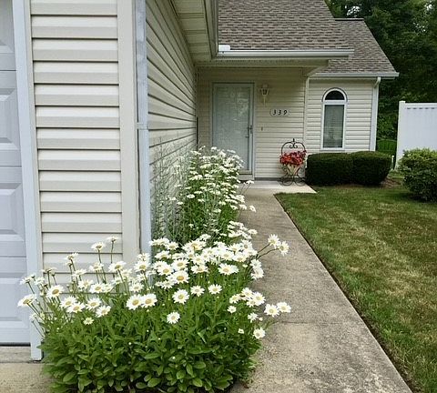 3rd image of 339 Westberry Cir