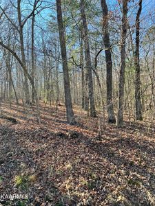 128 Hunterwood Ln, Fairfield Glade, TN, 38558