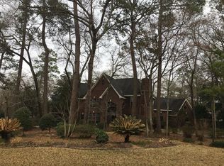 40 Red Sable Pl, Spring, TX 77380