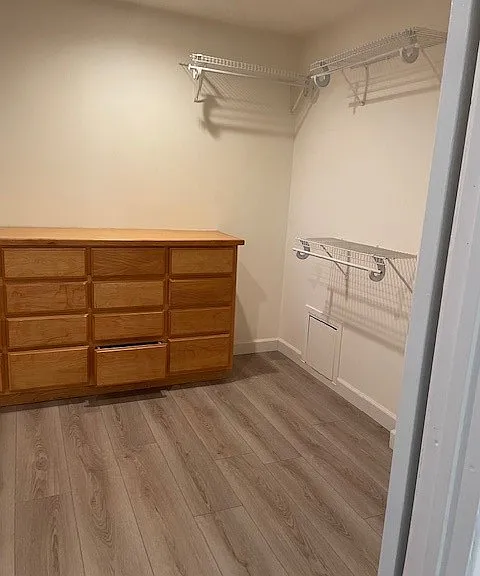 3436 Alginet Dr — Photo 6