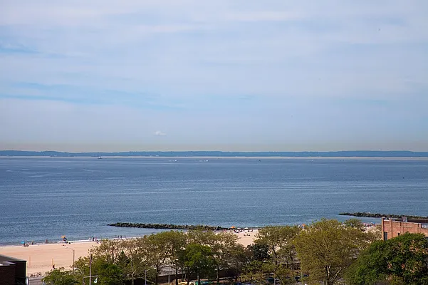 Rented by Bold New York | media 21