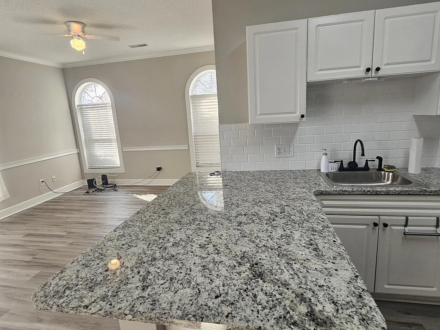4705 Wild Iris Dr — Photo 4