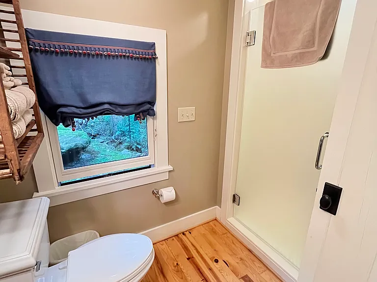 Walk-in shower with frosted glass door.