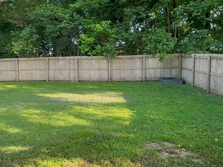 Back yard