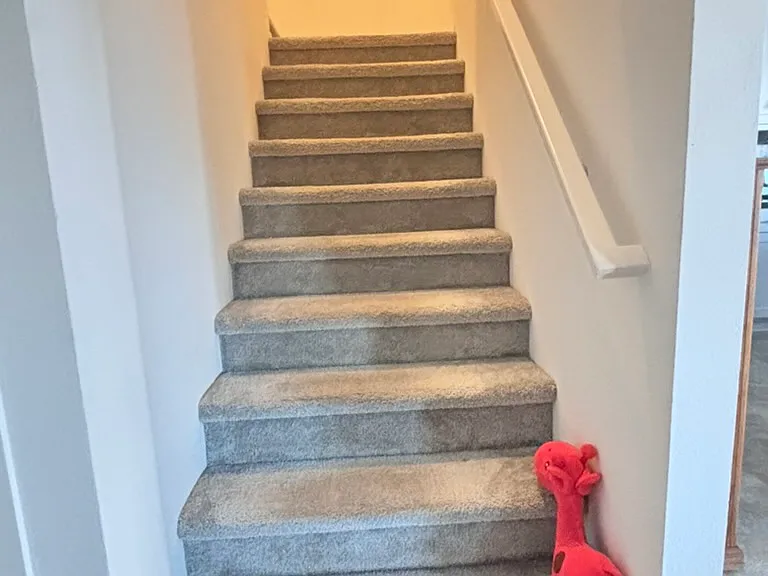 1808 Julie Dr — Photo 9