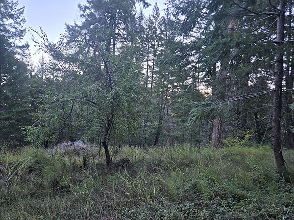 3rd image of 967 & 1141 Shop Rd