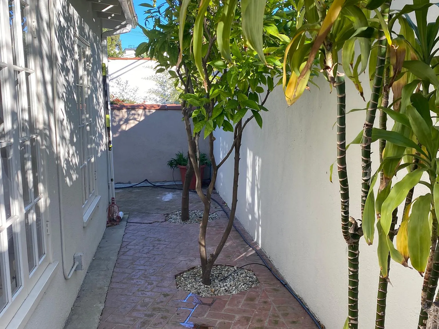 3 bed, 1529 sqft, $7,500 — Photo 3