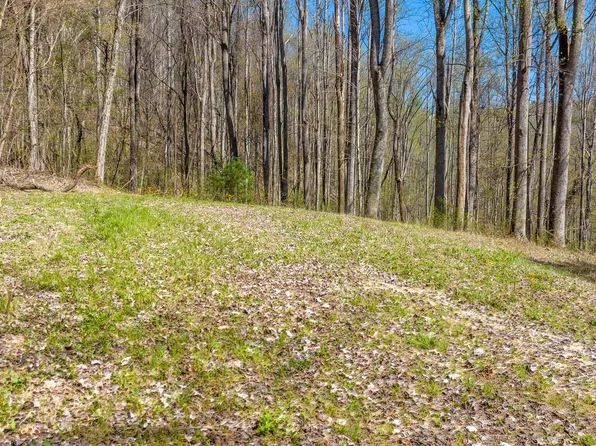 308 Honeymoon Holw #67, Butler, TN 37640