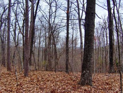 0 Iron County Rd #20, Belleview, MO, 63623
