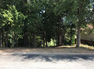 230 Fairway Ridge Dr, Chapin, SC 29036