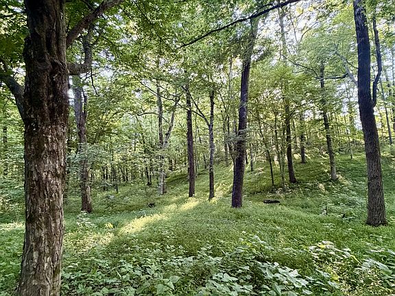 3rd image of 497 Rascaltown Rd