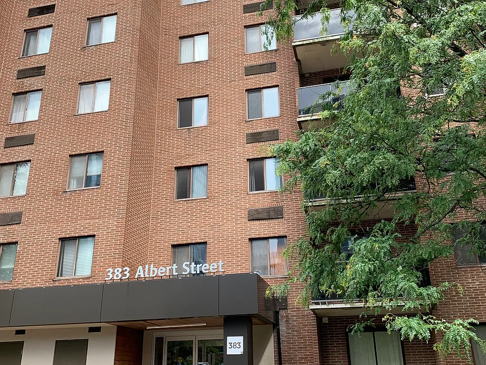 383 Albert St