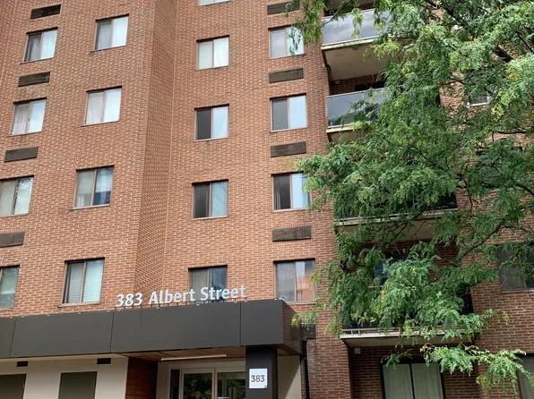 383 Albert Street