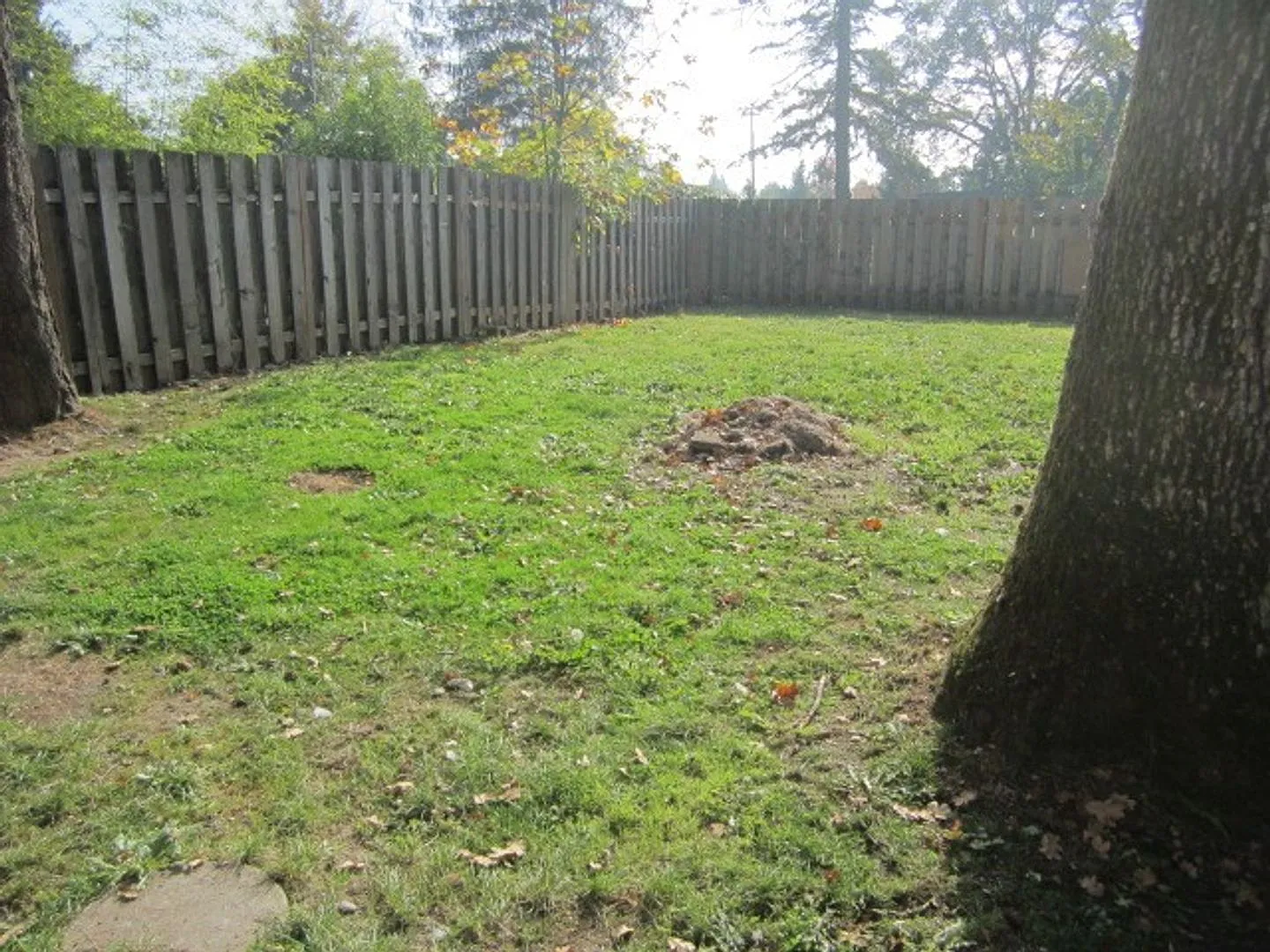 Cute Newley Remodeled 3 BD in Aloha!! — Photo 3