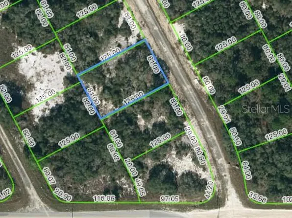 204 Deep Purple Dr #3, Lake Placid, FL 33852