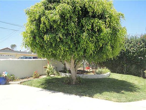 4th image of 1345 Teelin Ave