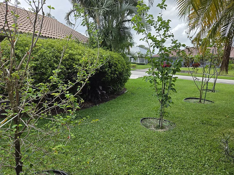 2378 Deer Creek Lob Lolly Ln — Photo 32