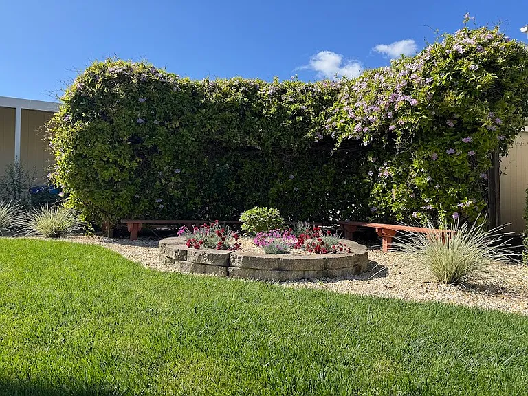 Front Lawn