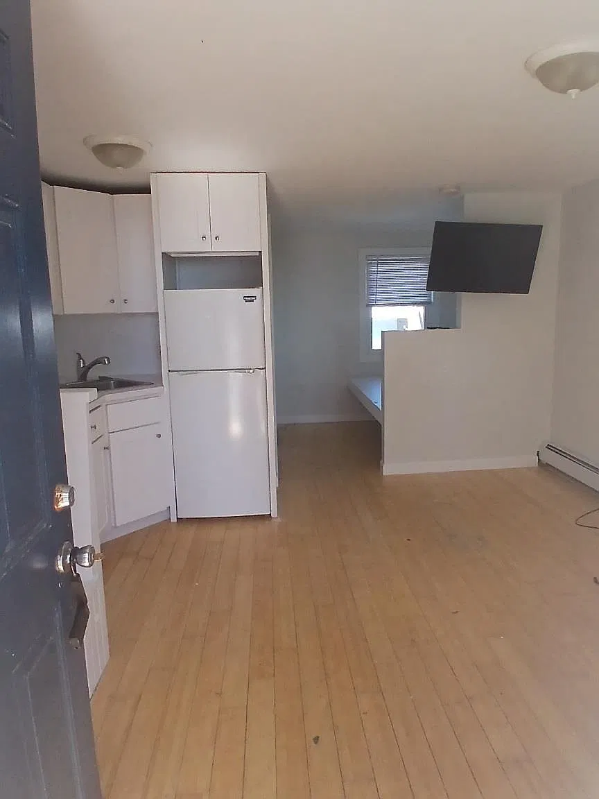 1 bed, 270 sqft, $1,350 — Photo 4