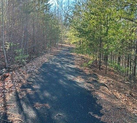 5th image of 0 Ridgeside Ct #297