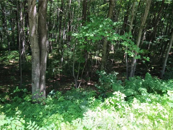 LOT 2 ROCKIE RD, Fall Creek, WI 54742
